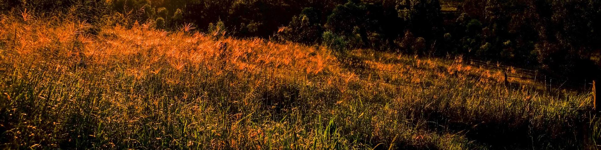 View of the Grandchester area in the Ipswich / Scenic Rim region, Queensland