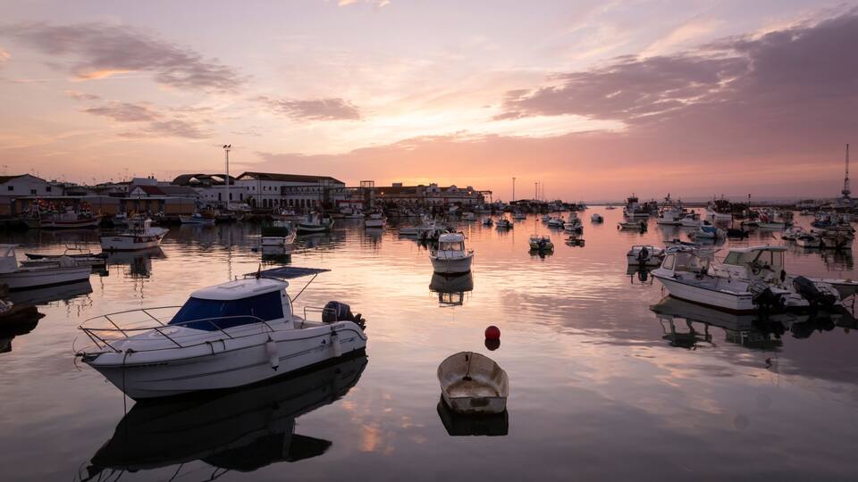 A marina at sunset with multiple boats docked, calm water, and buildings in the background.