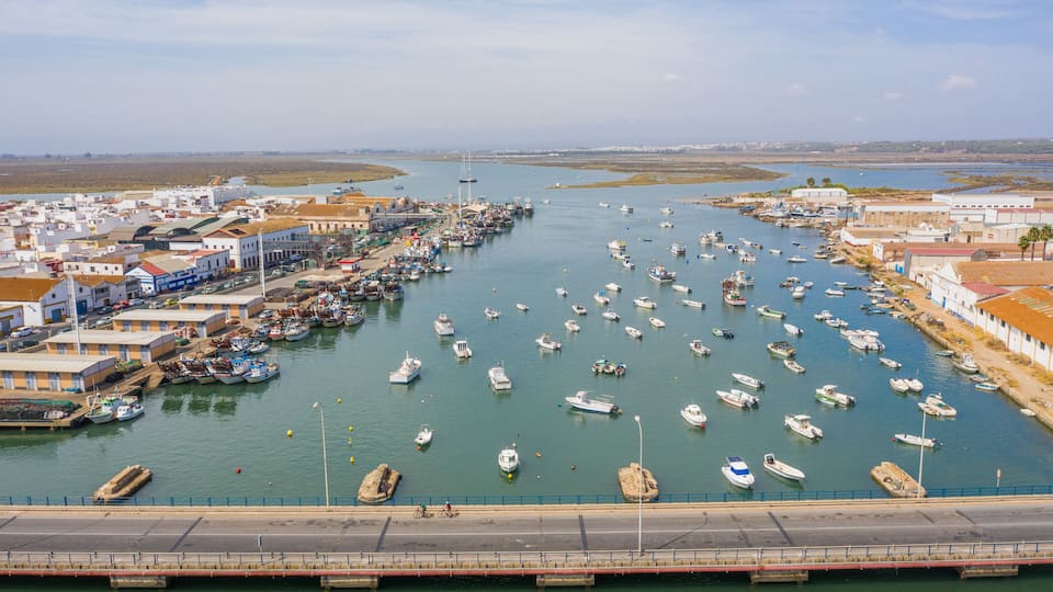 A coastal town with a marina filled with boats, a bridge, and buildings along the waterfront.
