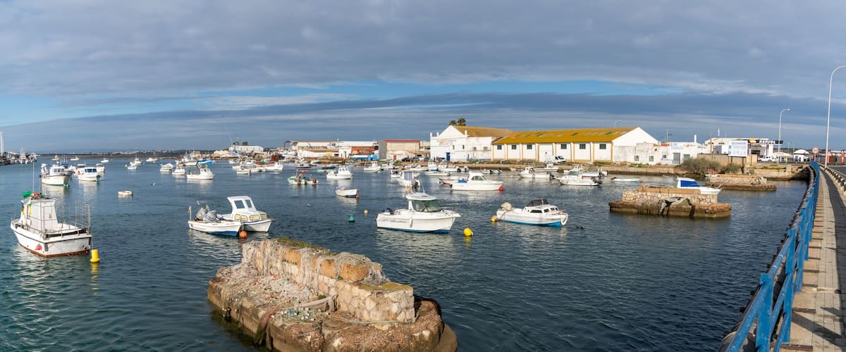 A harbor with numerous boats, a prominent rocky breakwater, and a coastal town with buildings in the background.