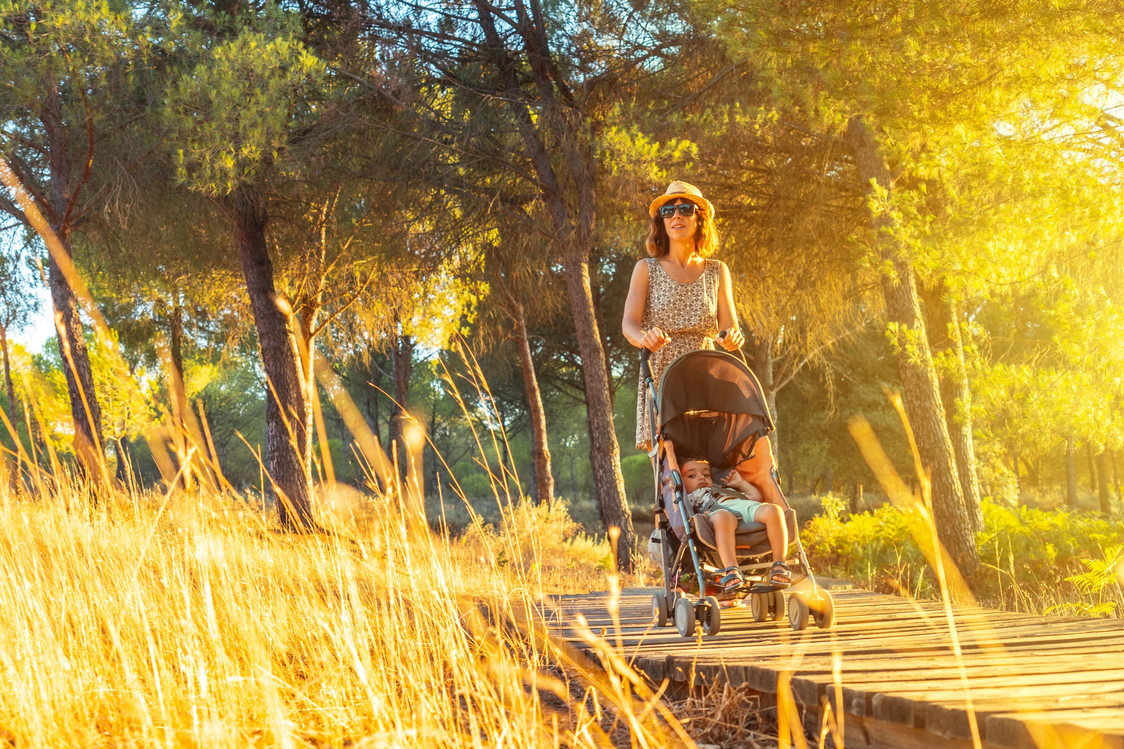 A young woman walking with her son along the wooden walkway in the Doñana natural park at sunset. Huelva