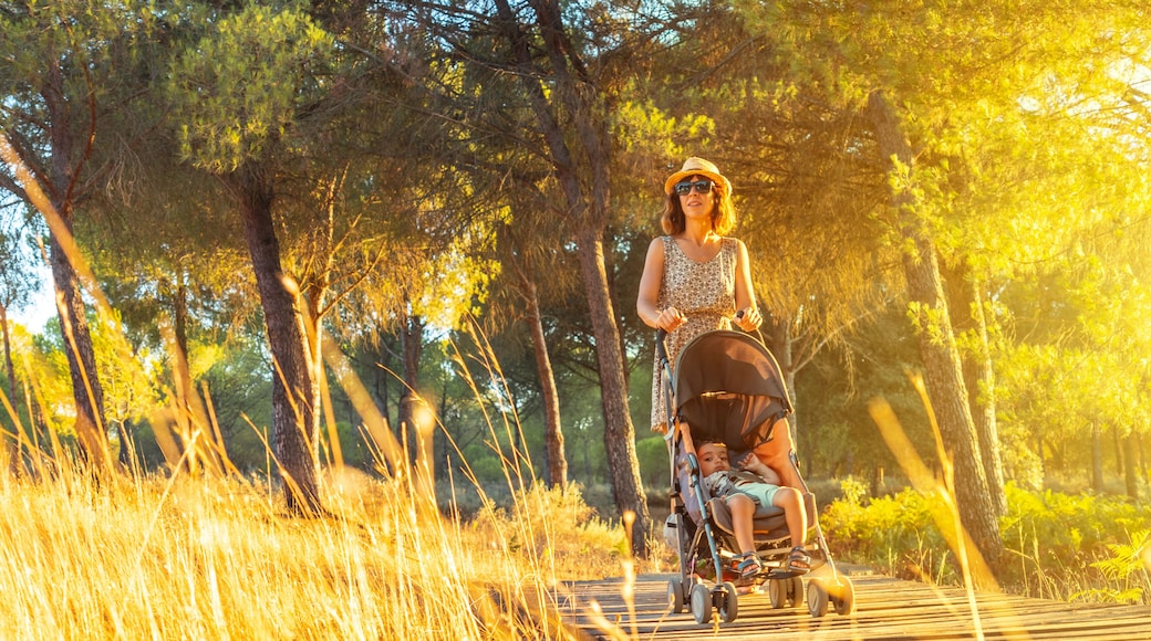 A young woman walking with her son along the wooden walkway in the Doñana natural park at sunset. Huelva