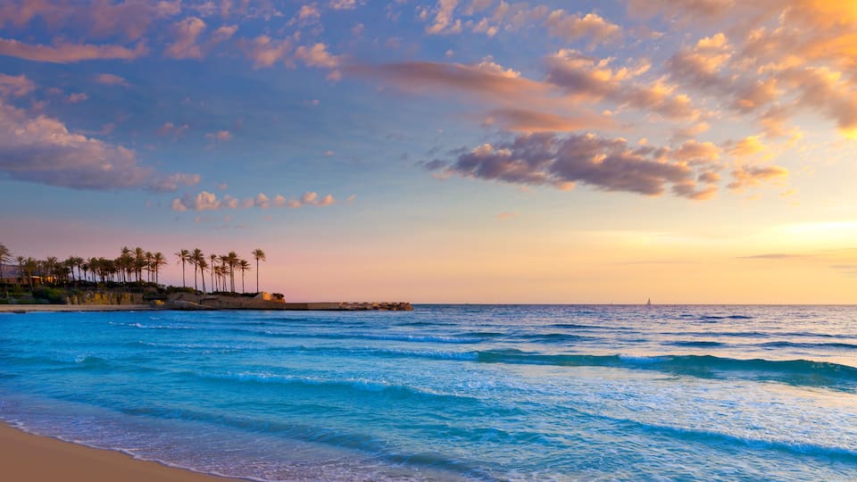 A beach with waves, palm trees, and a sunset sky.