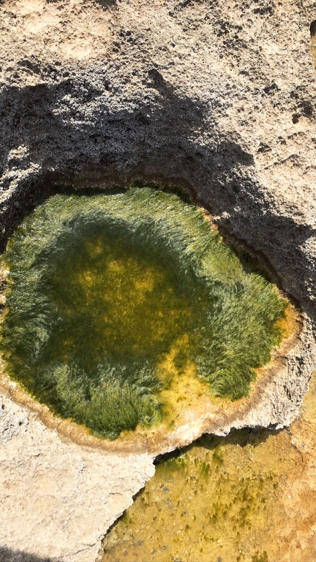 Green #beach #lifeatexpedia