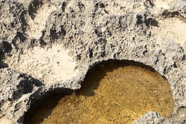 Area 51 #beach #lifeatexpedia