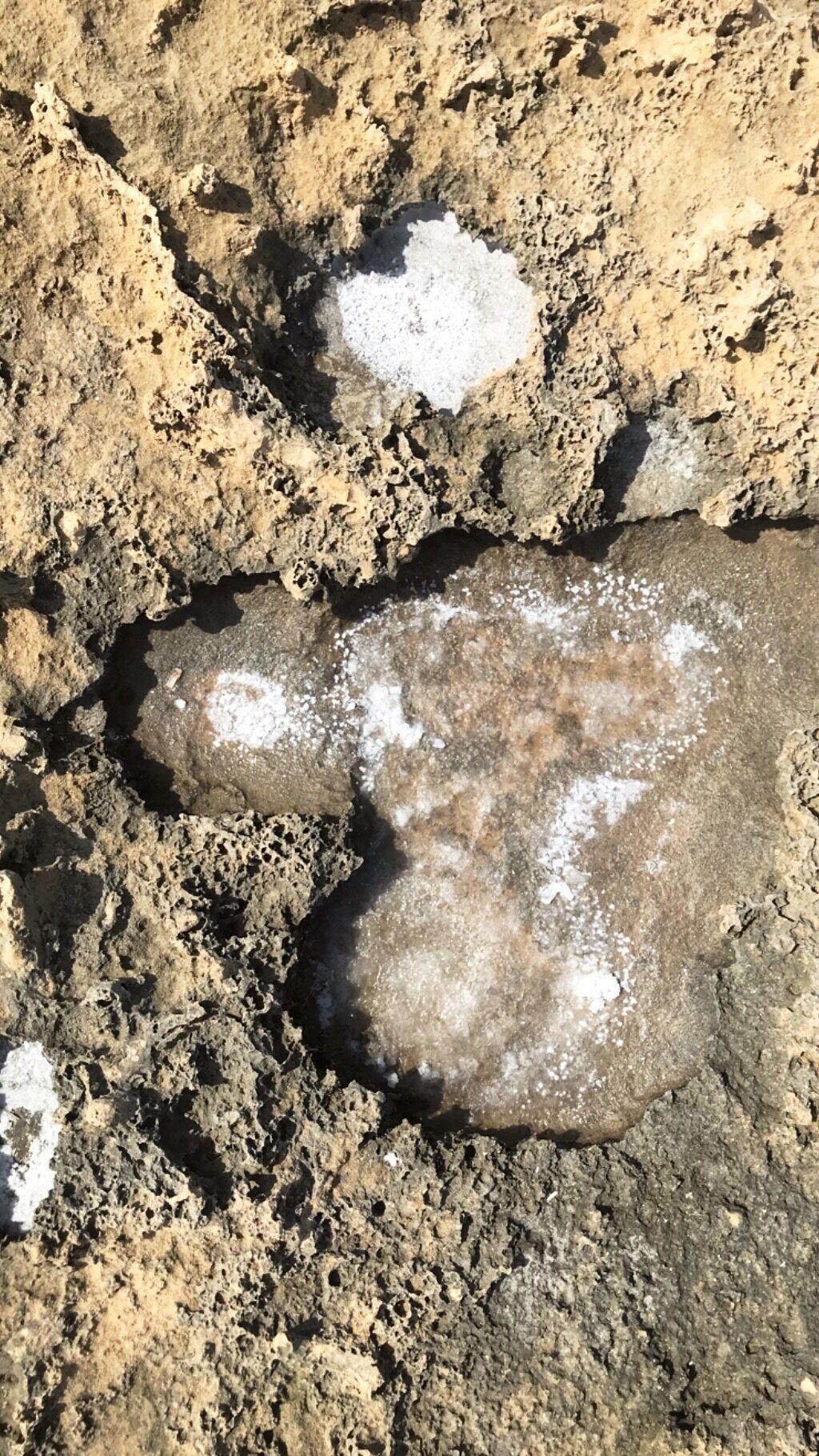 Salt structures #beach #lifeatexpedia