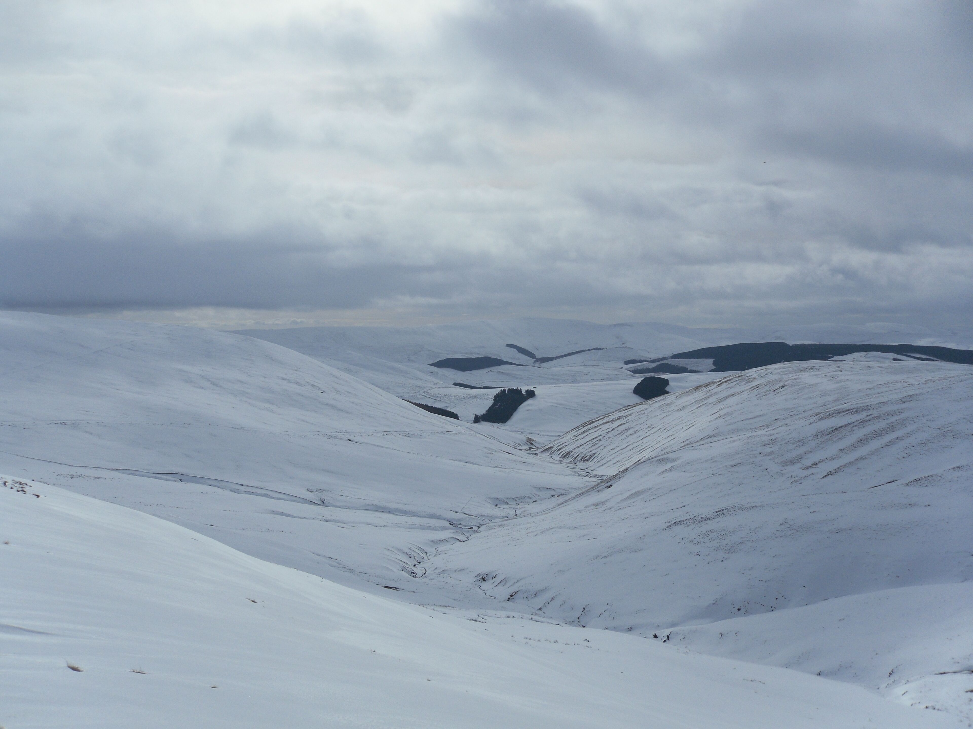 Looking South down the Rowhope Burn