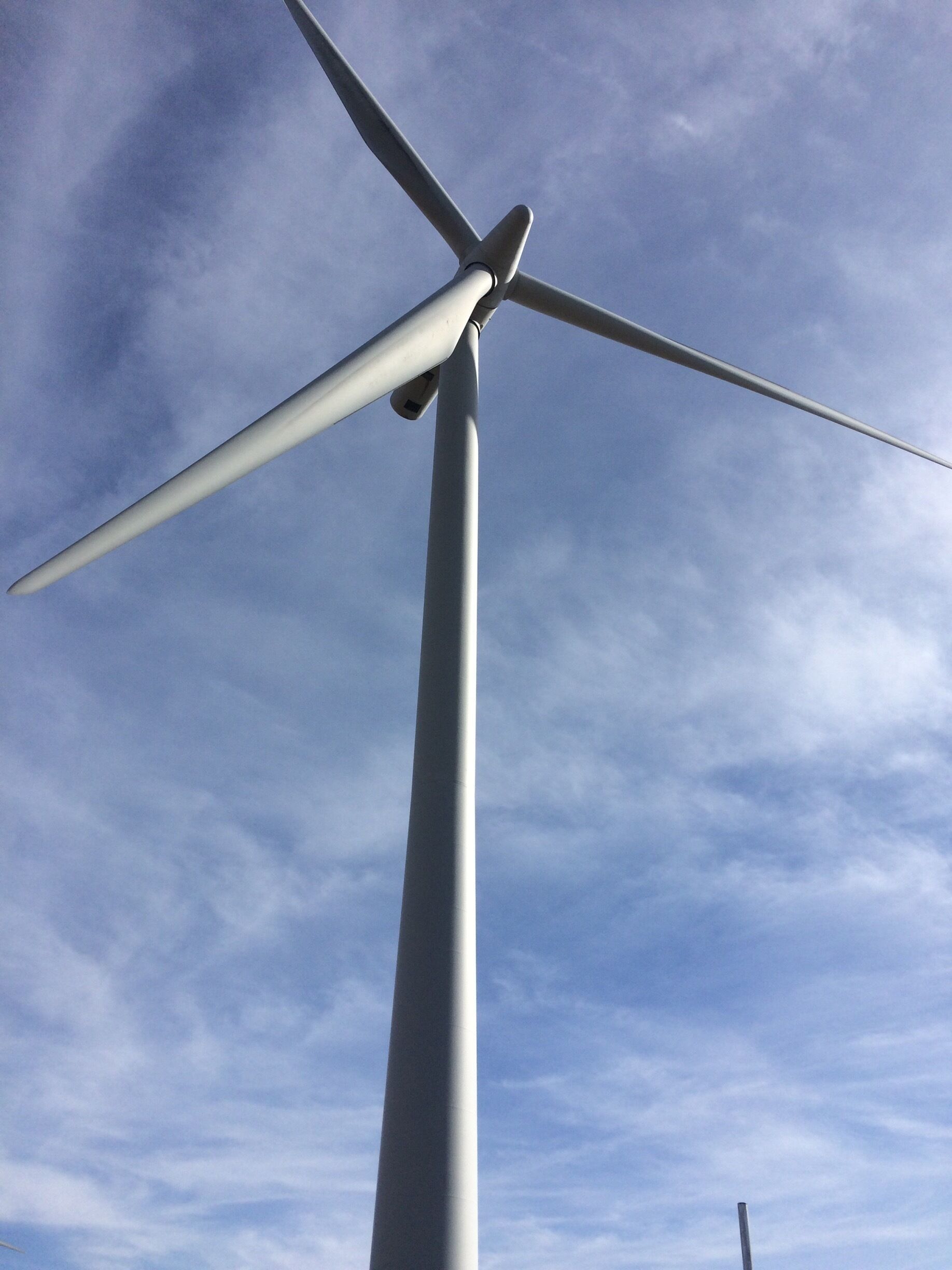 Gorgeous morning for a walk round the wind farm 