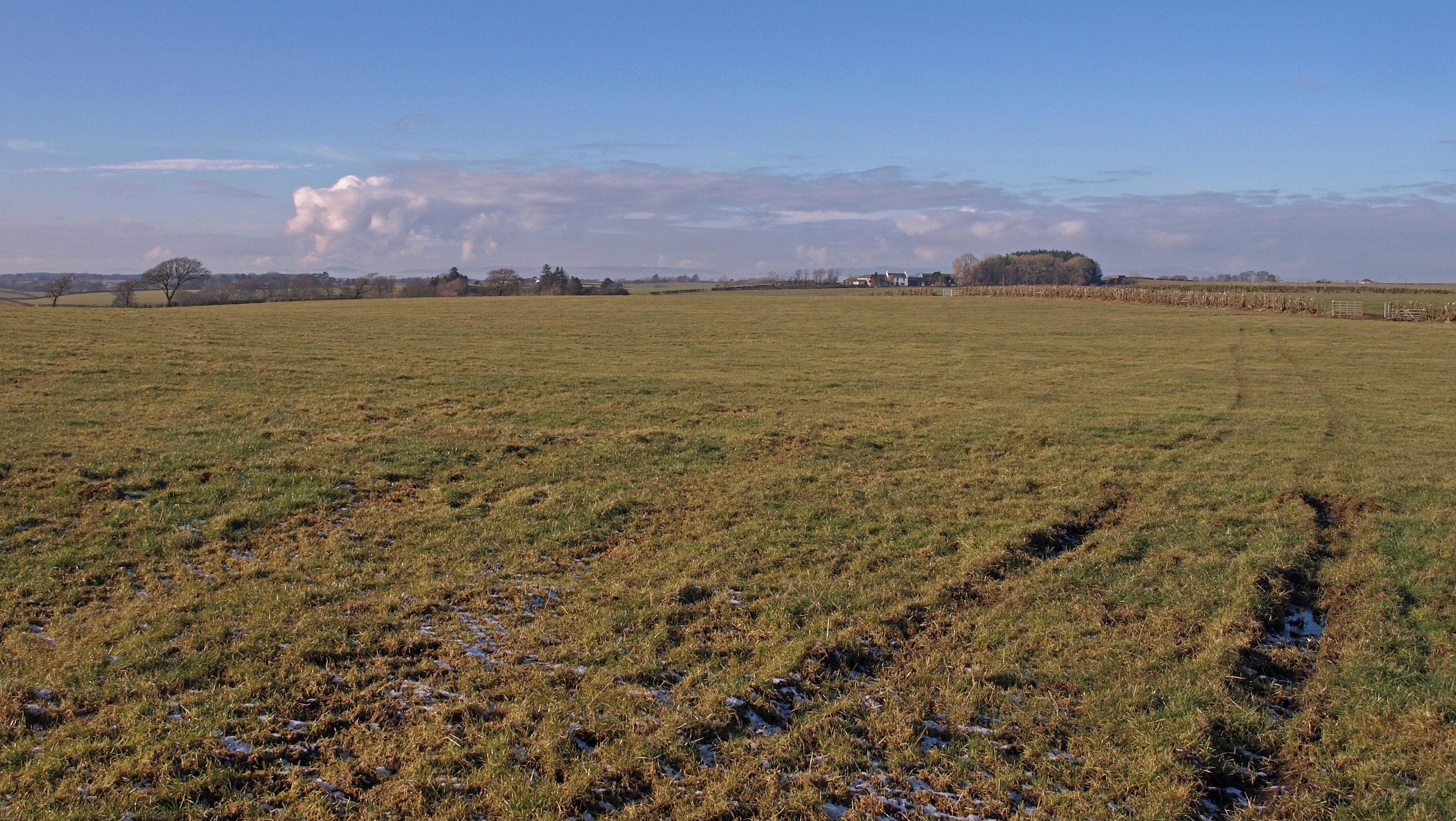 Field Tracks Looking across field to Chapeltoun Mains.