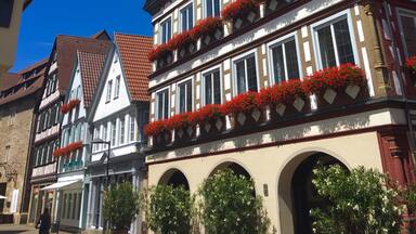 Old town hall of Kirchheim/Teck