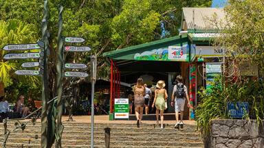 Kuranda featuring street scenes as well as a small group of people