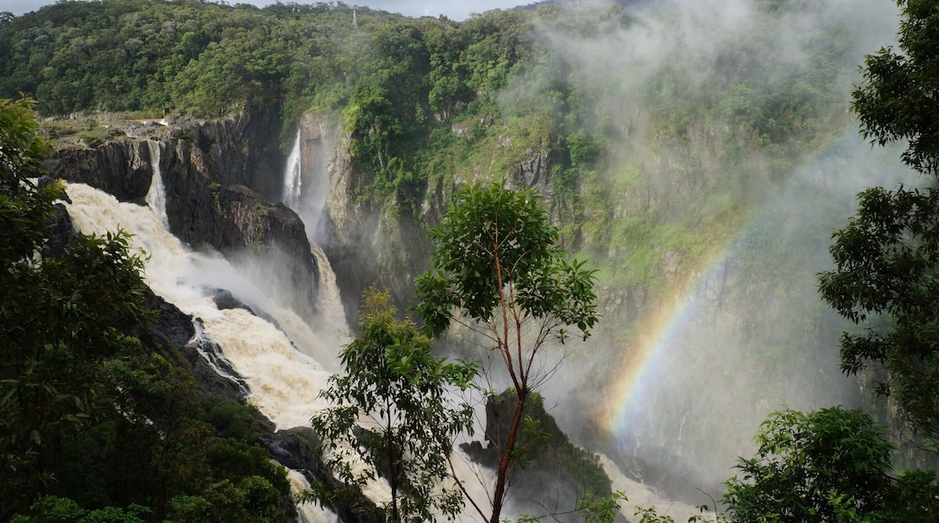 A lot of rain isn't always a bad thing in Cairns - it means our waterfalls look like this! With an added benefit of less crowds a visit during the 'big wet' has it's advantages! #waterlust
www.cheskiesgaplife.com