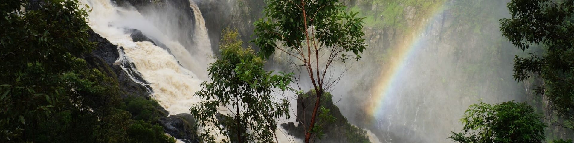 A lot of rain isn't always a bad thing in Cairns - it means our waterfalls look like this! With an added benefit of less crowds a visit during the 'big wet' has it's advantages! #waterlust
www.cheskiesgaplife.com