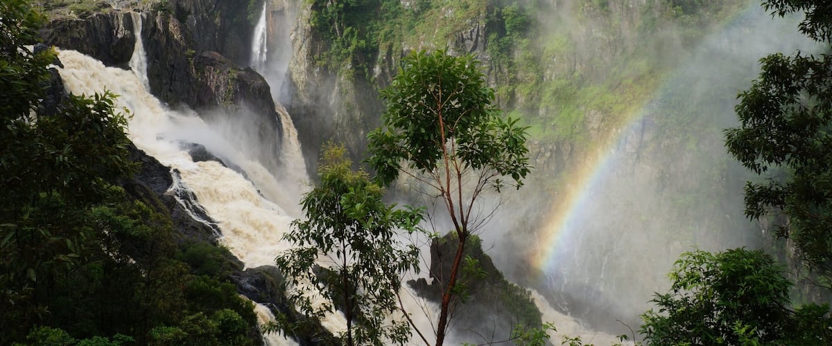 A waterfall cascading down a steep cliff surrounded by lush greenery and a visible rainbow.