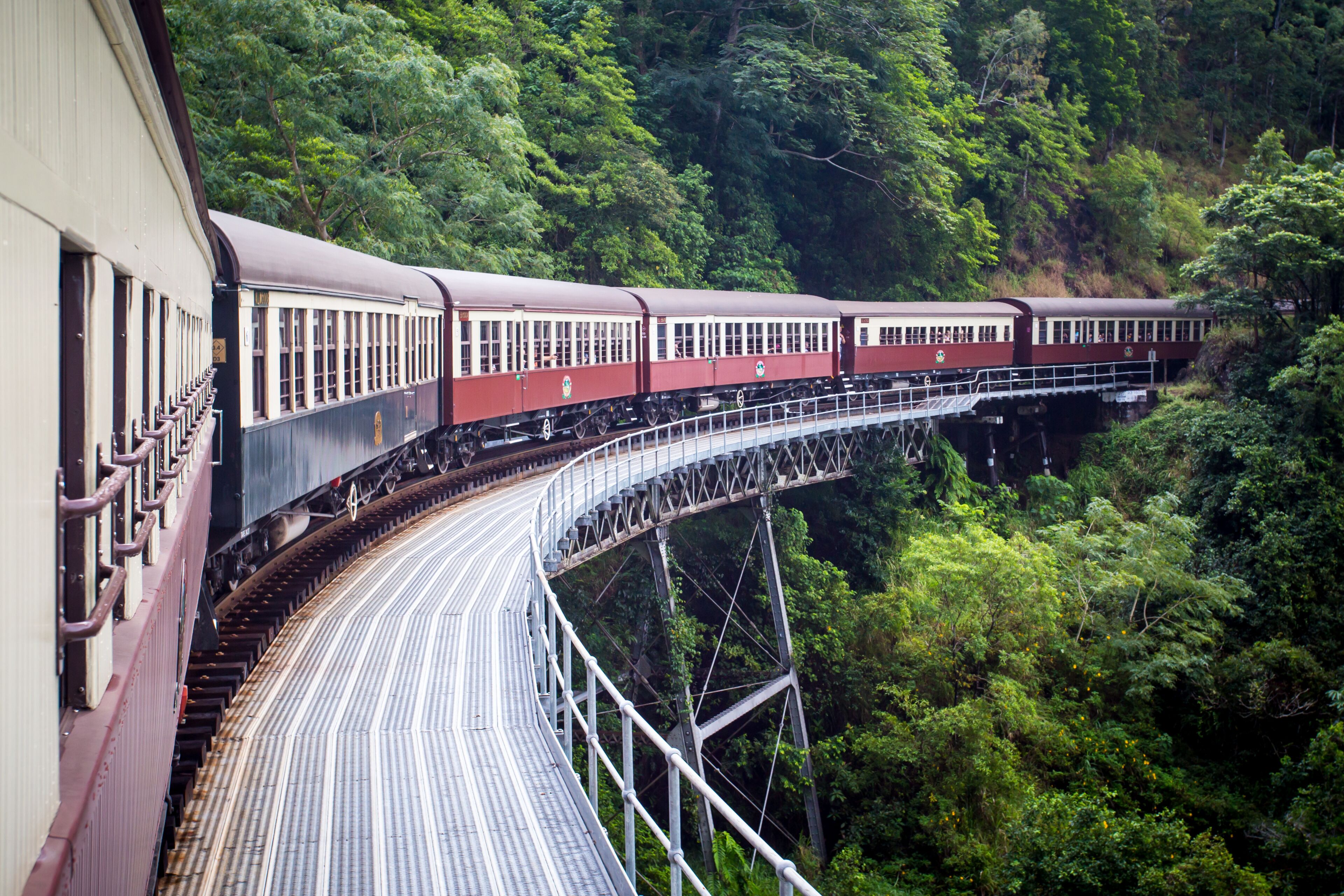 Un tren cruzando un puente a través de un bosque.