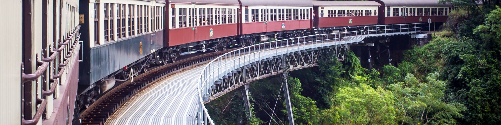 A train on a bridge through a forest.