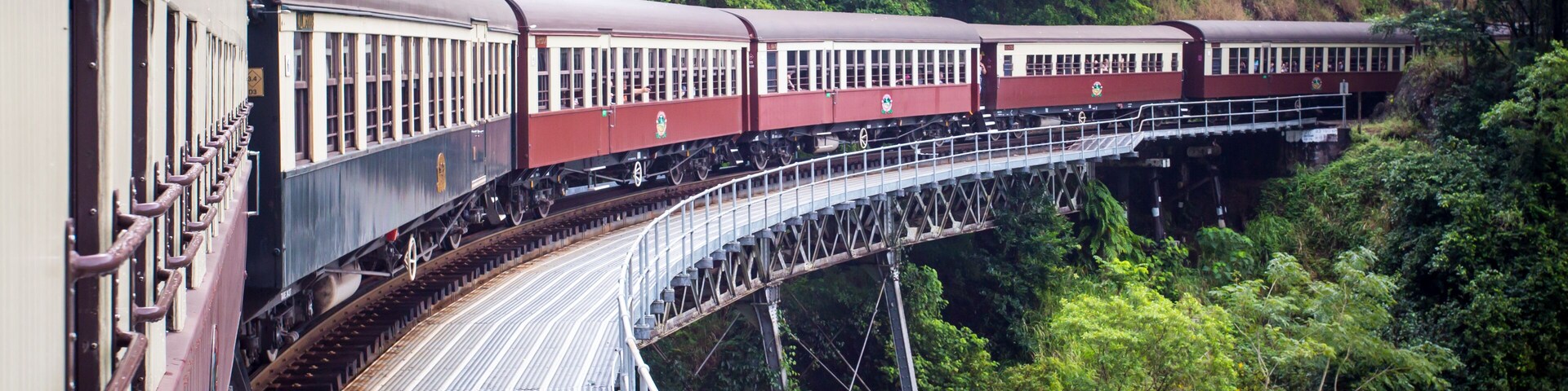 Un tren cruzando un puente a través de un bosque.