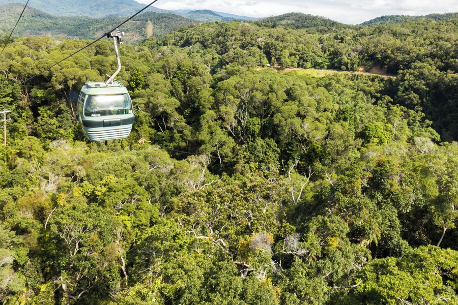Awseome trip over the top of some of the oldest rainforrest in the world.