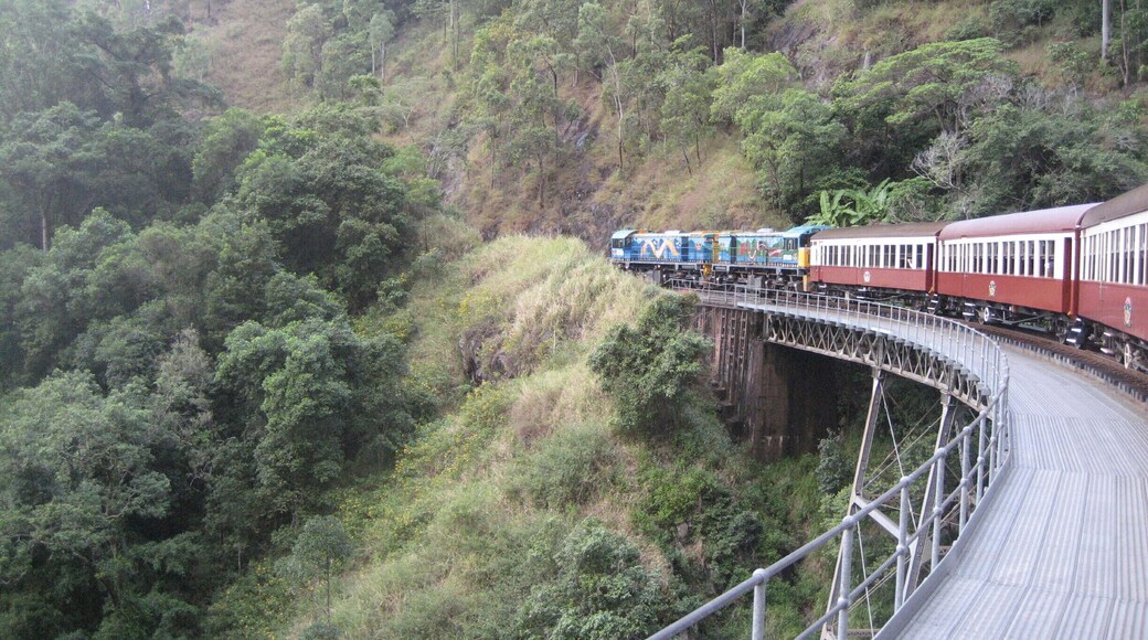 Take the gondola lifts up, but don't miss the train going down!