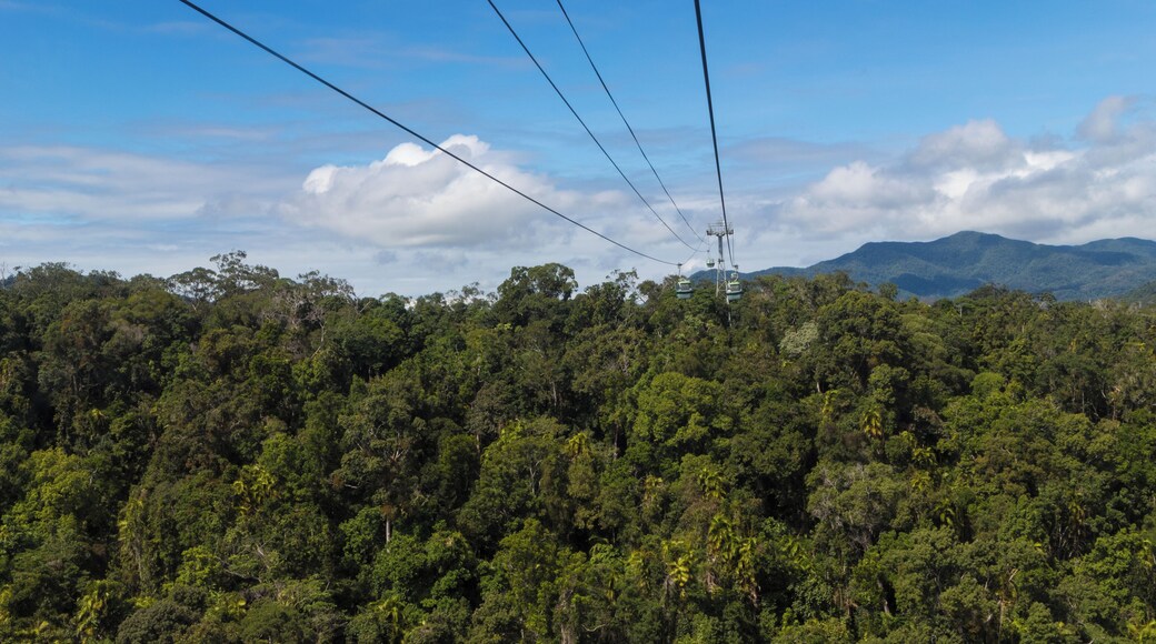 This is great experience to see a rainforest from the top. Highly recommended and worth the money spend on the ticket.