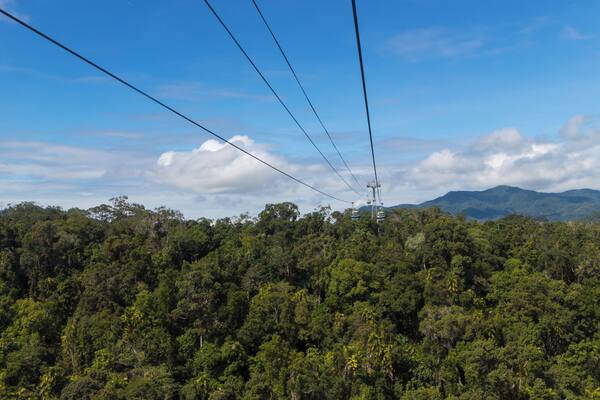 This is great experience to see a rainforest from the top. Highly recommended and worth the money spend on the ticket.