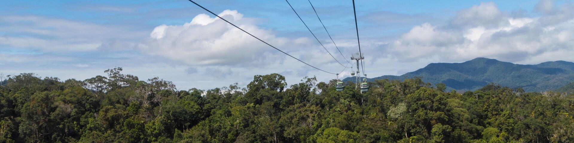 This is great experience to see a rainforest from the top. Highly recommended and worth the money spend on the ticket.