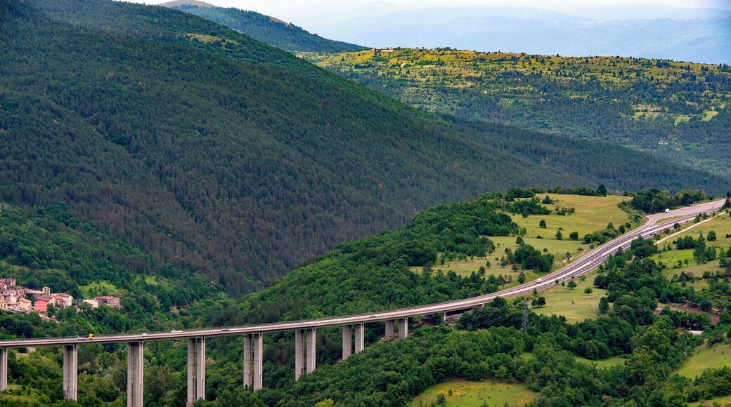 The beautiful view of A24.