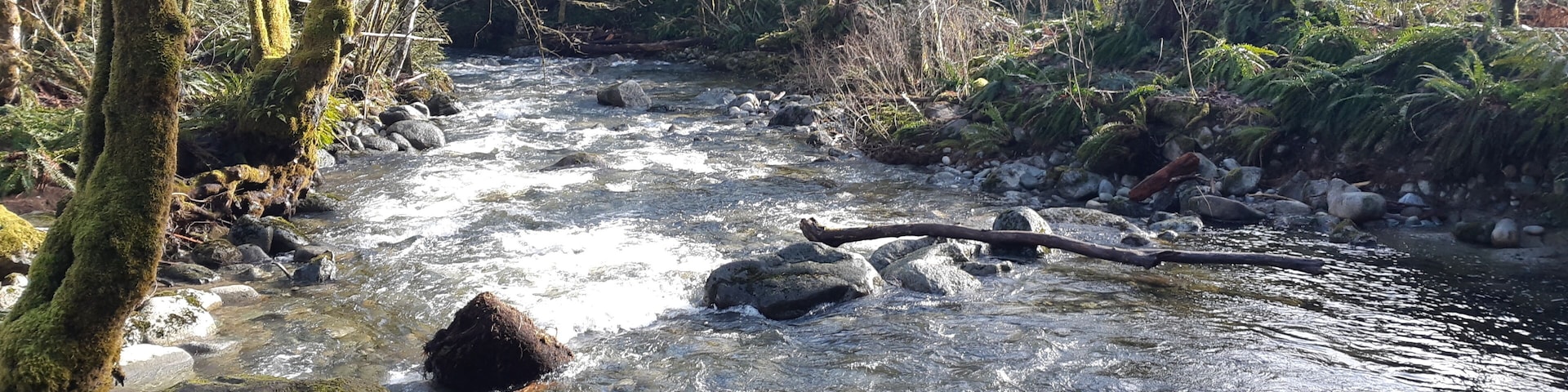 Beautiful secluded spot in Ladysmith British Columbia Canada
