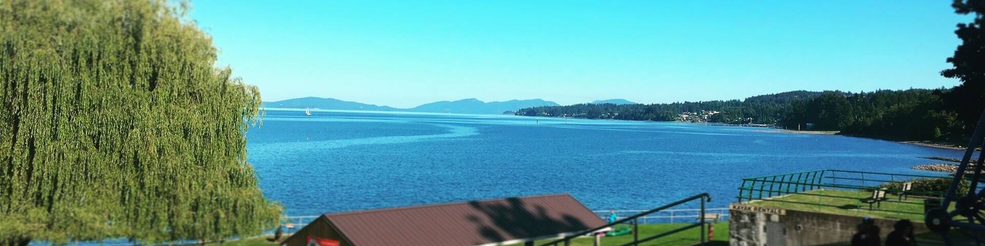 Transfer Beach at Ladysmith.