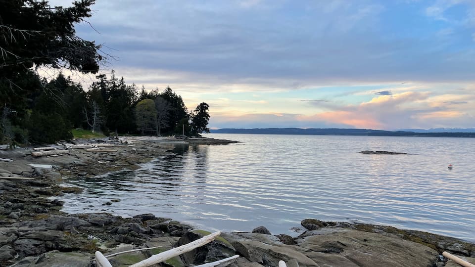 A rocky shoreline with calm water, trees, and a distant mountain range.