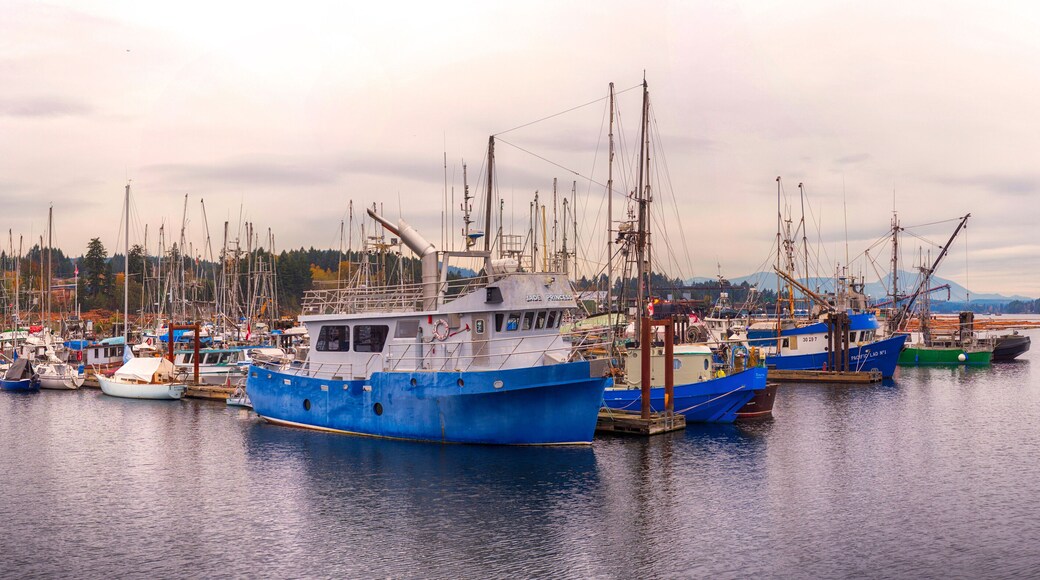 Panoramic view of Ladysmith marina, taken in Vancouver Island, BC, Canada