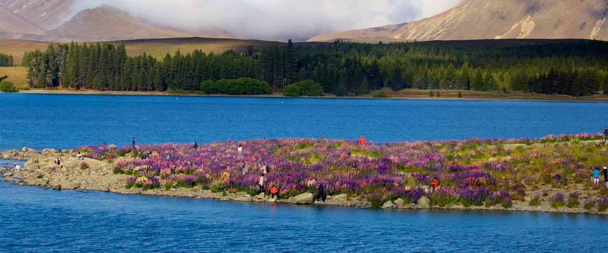 A lake surrounded by mountains and a field of purple flowers.
