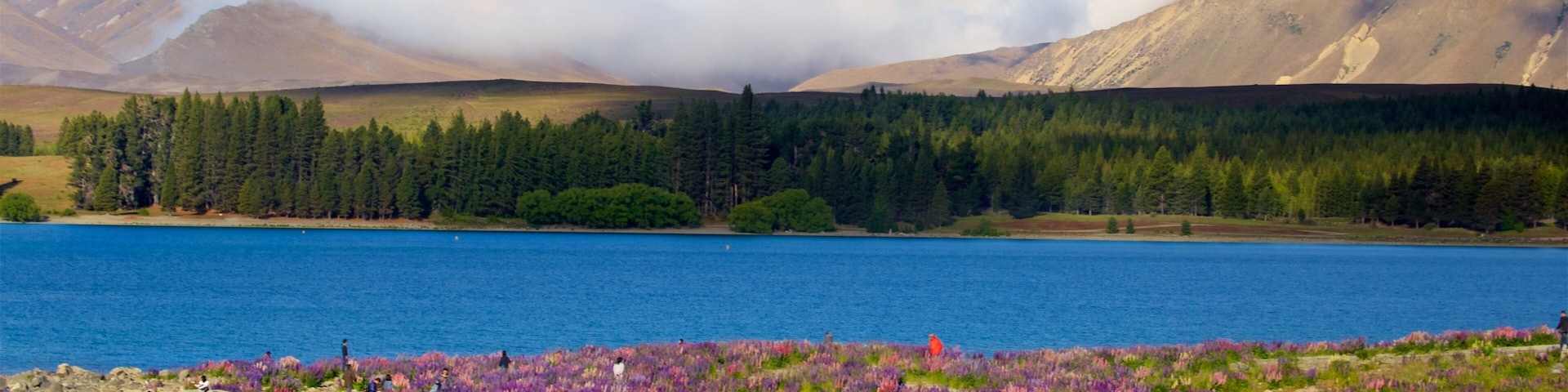 Un lago rodeado de montañas y un campo de flores moradas.