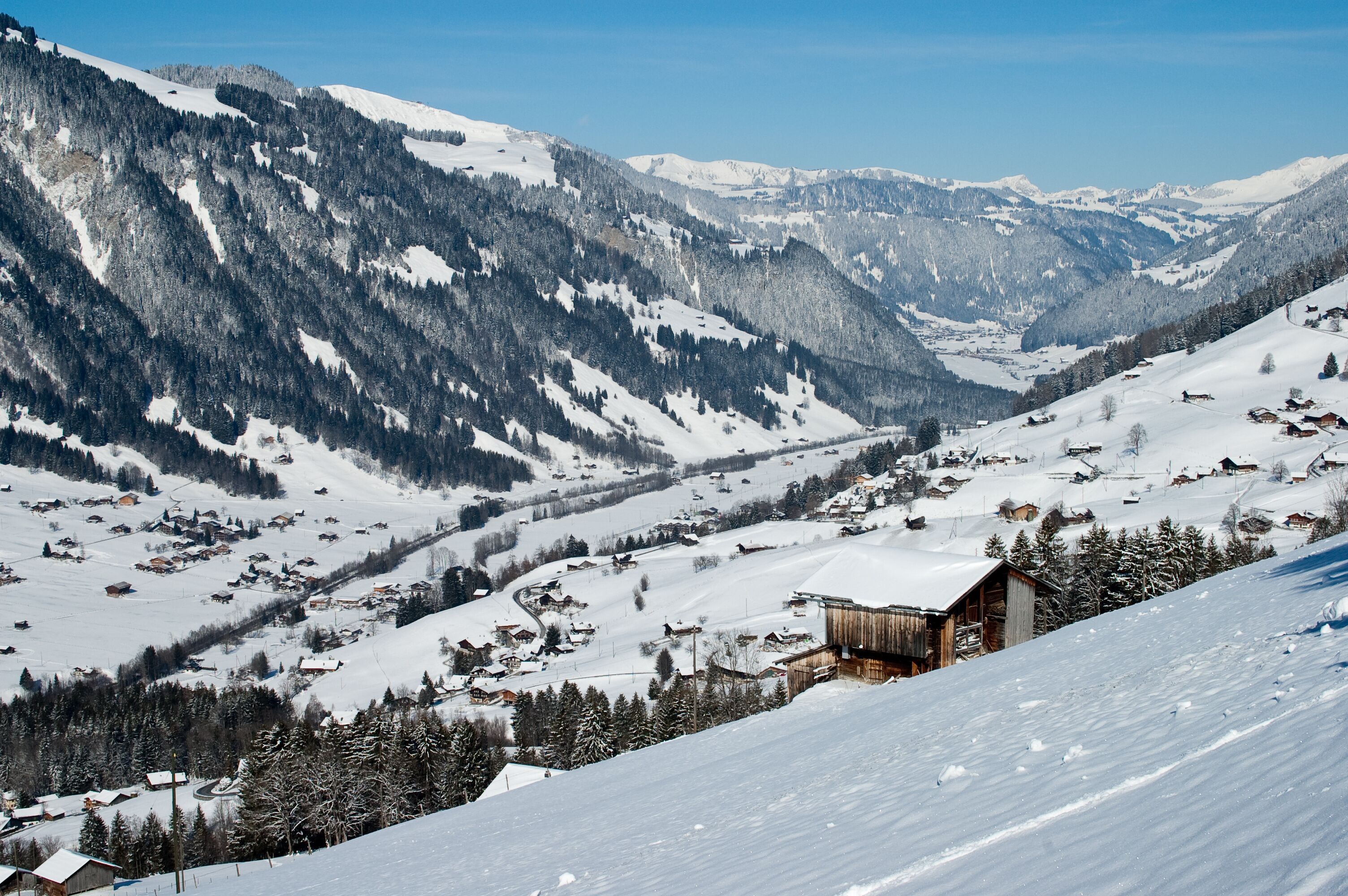Lenk