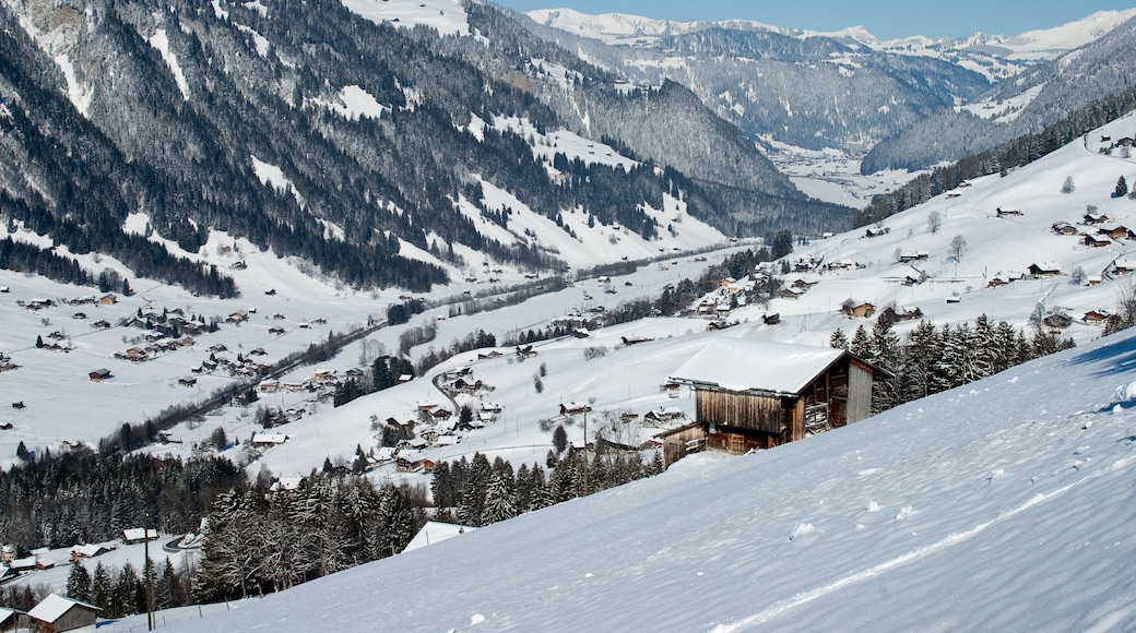 Lenk