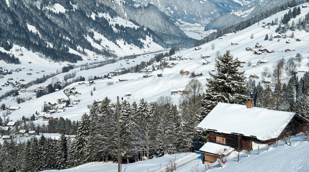 Winter landscape of the village of Lenk in the Simmental valley in Switzerland