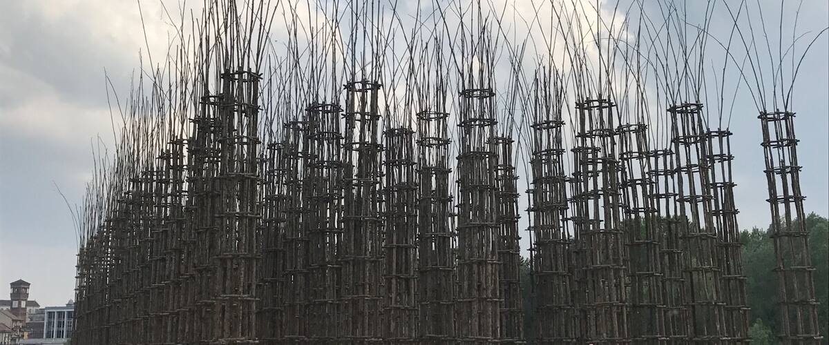 Natural cathedral with small trees in each wood column that grow inside. They will take 20 years to grow as high. Is it quite unique?