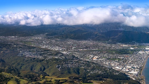 Lower Hutt