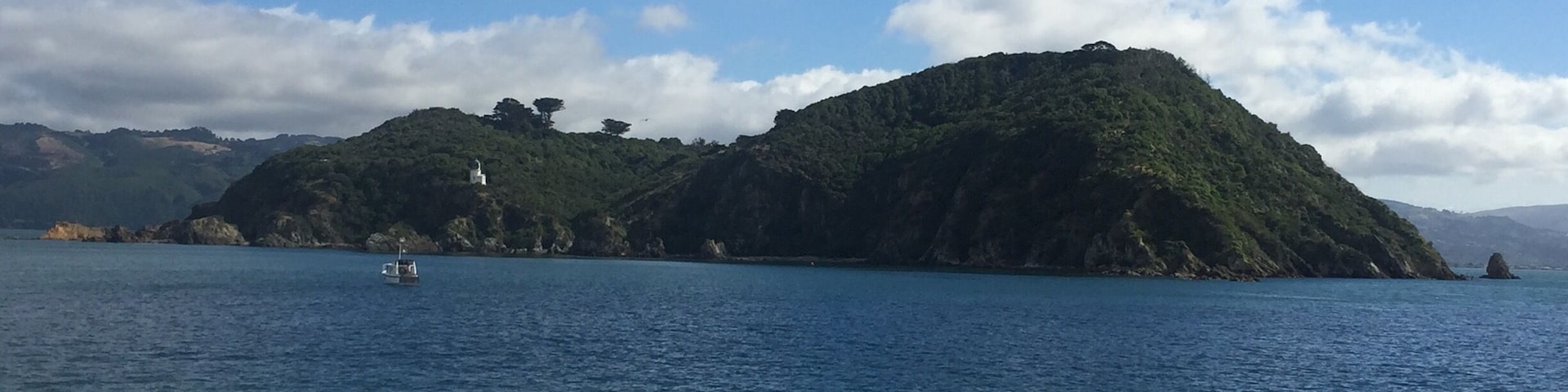 Matiu/Somes island. Little island about 20mins boat ride from Wellington harbour. It's currently a wildlife reserve but in the past it has been a home for Maori tribes, a human quarantine, an animal quarantine, an internment camp and a military base. Lots of lovely wildlife on the island and saw 2 pods of dolphins playing around the island. Nice place for a picnic