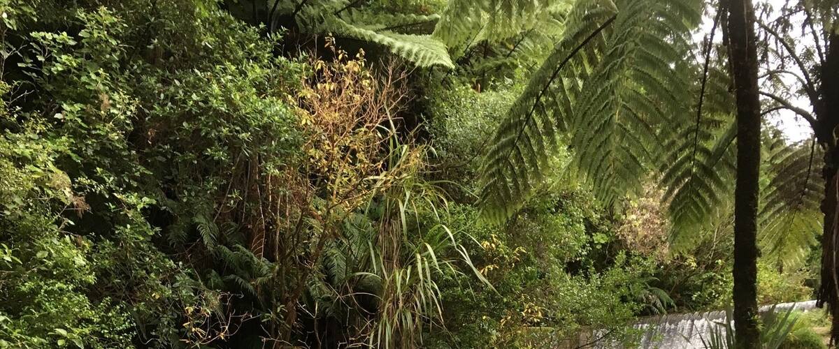 Good spot to walk to