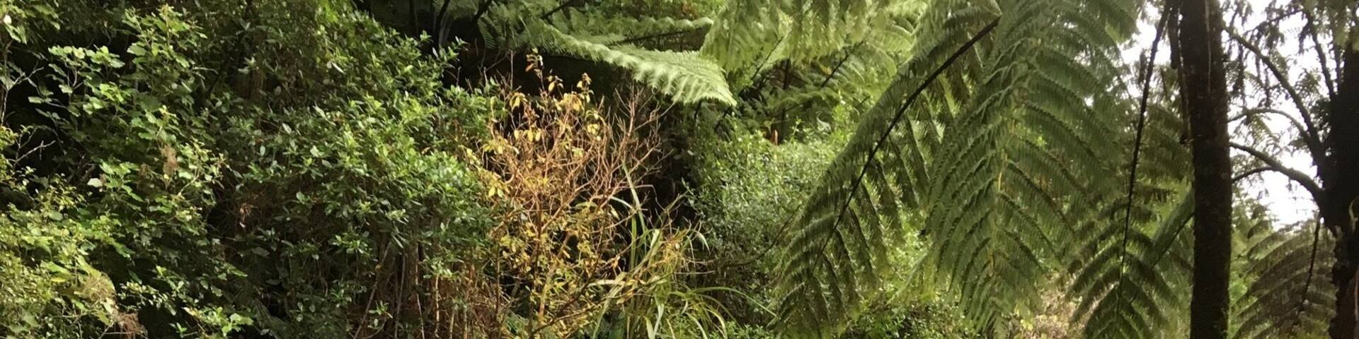 Good spot to walk to