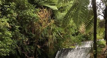 Good spot to walk to