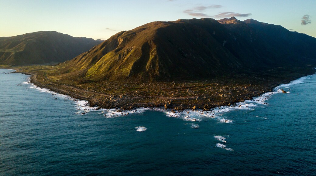 Wainuiomata Coast