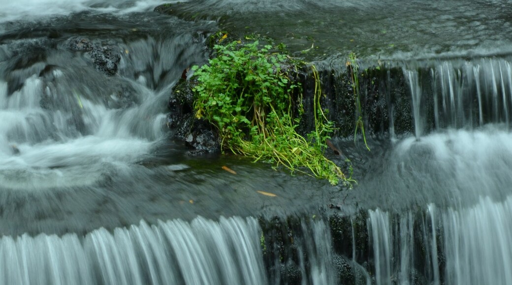 Korokoro Domain waterfall