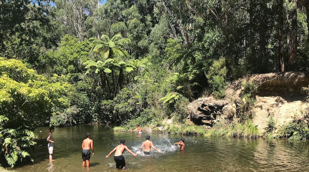 Maori children enjoying a pretty & secluded spot off the main path of Wainuiomata Recreation area, Wellington, New Zealand
