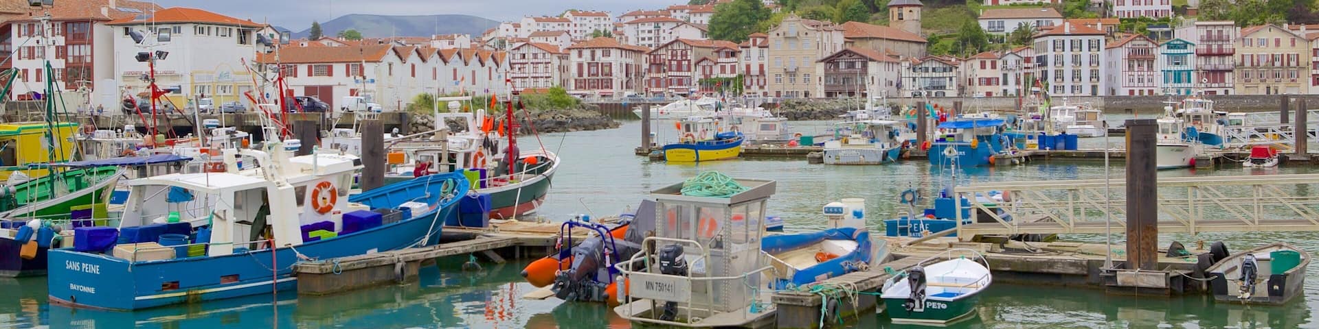 Saint-Jean-de-Luz showing a coastal town, boating and a marina