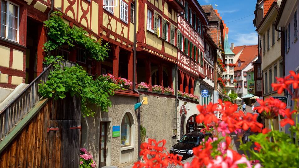 A narrow street lined with traditional half-timbered houses, some with flower boxes and ivy.