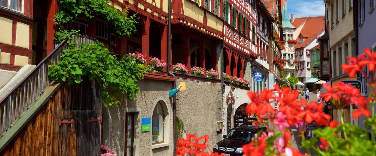 A narrow street lined with traditional half-timbered houses, some with flower boxes and ivy.