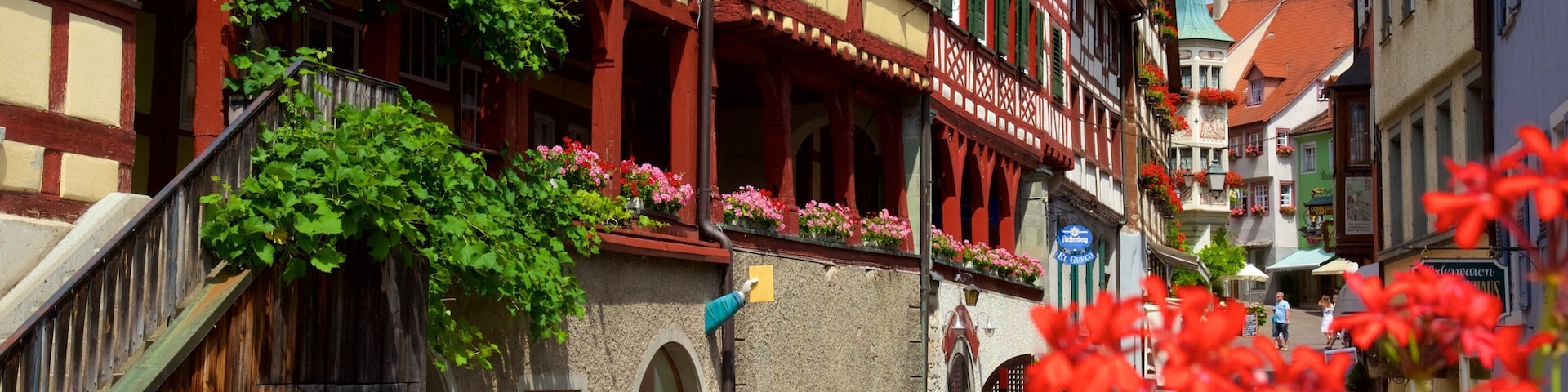 A narrow street lined with traditional half-timbered houses, some with flower boxes and ivy.
