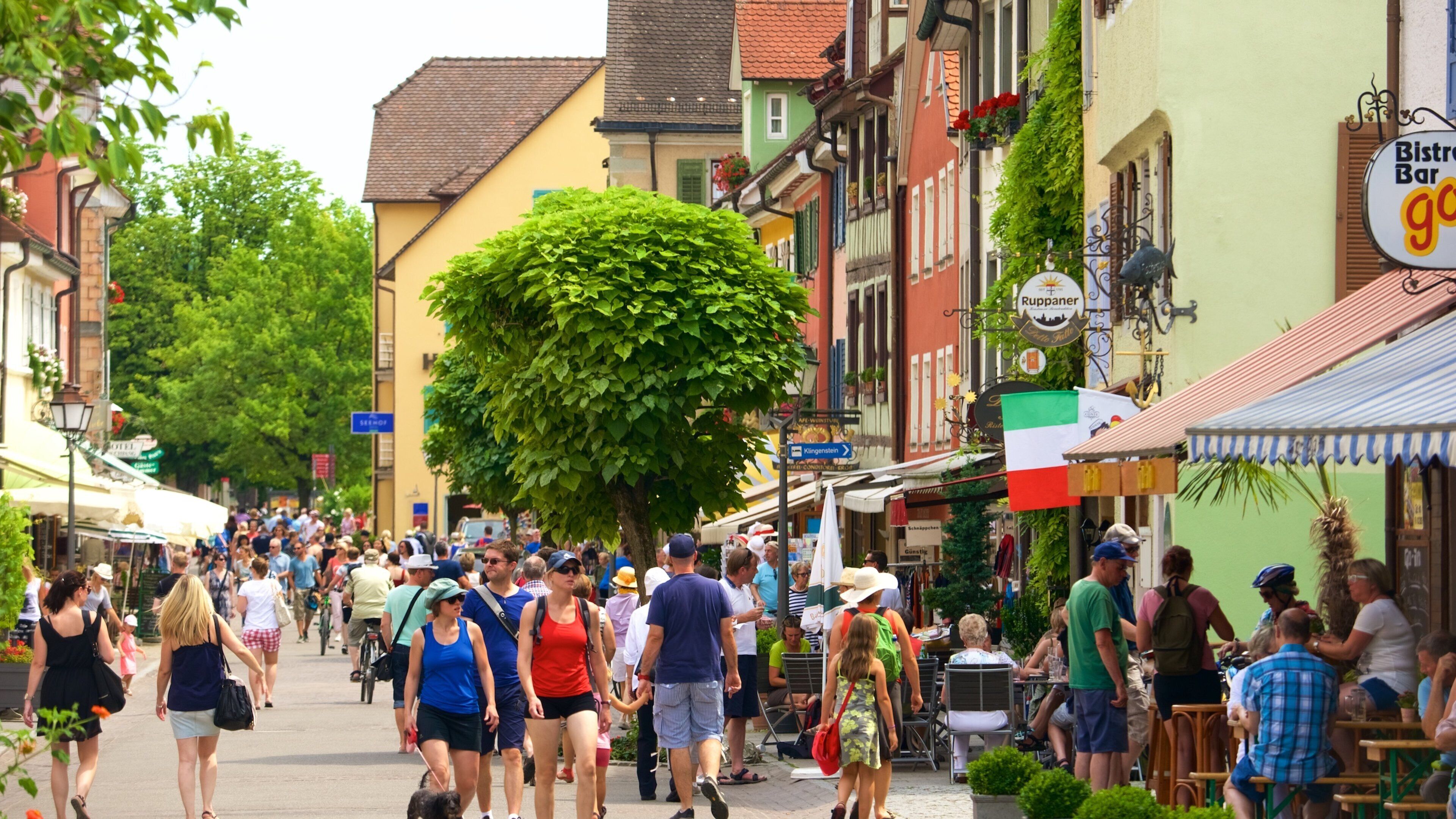 A bustling street lined with colorful buildings, a large tree, and people walking.